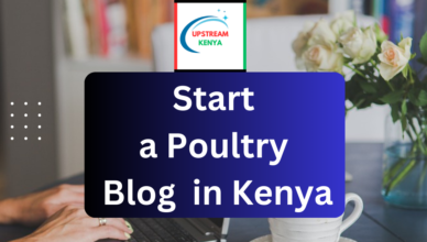 how to start a poultry blog in kenya