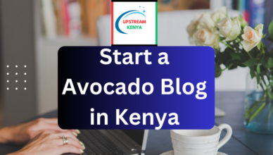 how to start an avocado blog in kenya