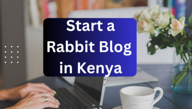 how to start a rabbit blog in kenya